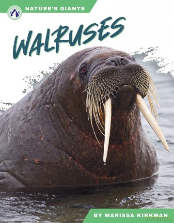 Walruses (Nature's Giants Series) - Kirkman [KSIĄŻKA]