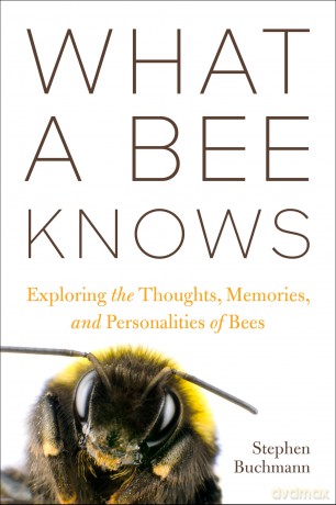 What a Bee Knows: Exploring the Thoughts, Memories, and Personalities of Bees - Stephen L Buchmann [KSIĄŻKA]