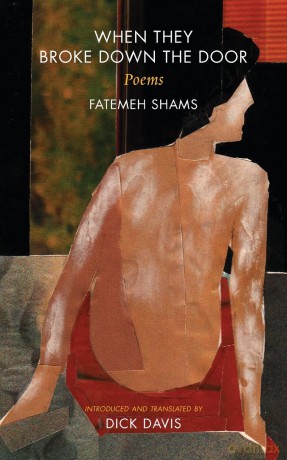 When They Broke Down the Door: Poems - Fatemeh Shams [KSIĄŻKA]