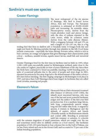 Where to Watch Birds in Sardinia (Where to Watch Guides) - Ilaria Fozzi [KSIĄŻKA]