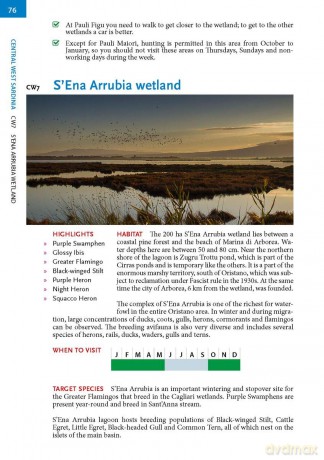 Where to Watch Birds in Sardinia (Where to Watch Guides) - Ilaria Fozzi [KSIĄŻKA]