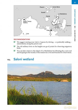 Where to Watch Birds in Sardinia (Where to Watch Guides) - Ilaria Fozzi [KSIĄŻKA]