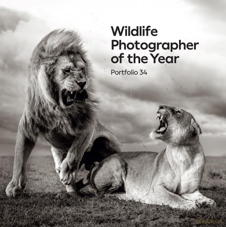 Wildlife Photographer of the Year: Portfolio 34: Volume 34 - Natural History Museum [KSIĄŻKA]