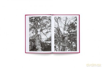 Women in Trees (Bilingual edition) - Johanna Adorjan [KSIĄŻKA]