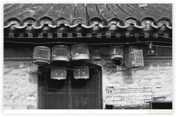 Xu Yong: Hutong. 101 Photos - Xu Yong [KSIĄŻKA]