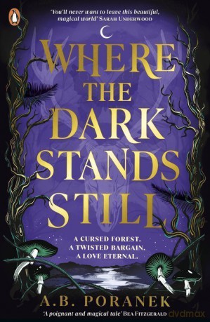Where the dark stands still wer. angielska - A.B. Poranek [KSIĄŻKA]