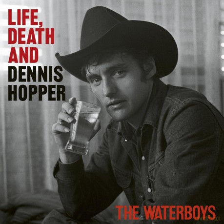 The Waterboys: Life Death & Dennis Hopper (Psychodelic Indie) [2xWinyl]