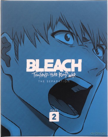 Bleach Thousand Year Blood War - Part 2 - Collector's [2xBlu-Ray]