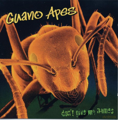 Guano Apes: Don't Give Me Names [Winyl]