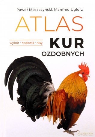 Atlas kur ozdobnych. Wybór. Hodowla. Rasy - Paweł Moszczyński [KSIĄŻKA]