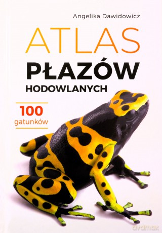 Atlas płazów hodowlanych. 100 gatunków - Angelika Dawidowicz [KSIĄŻKA]