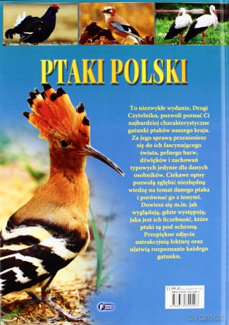 Ptaki Polski Tw - Studio Fenix [KSIĄŻKA]