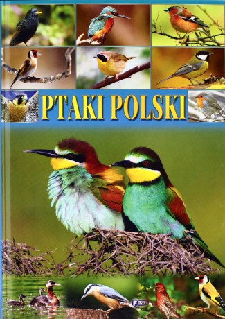 Ptaki Polski Tw - Studio Fenix [KSIĄŻKA]