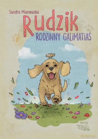 Rudzik. Rodzinny galimatias - Sandra Mianowska [KSIĄŻKA]