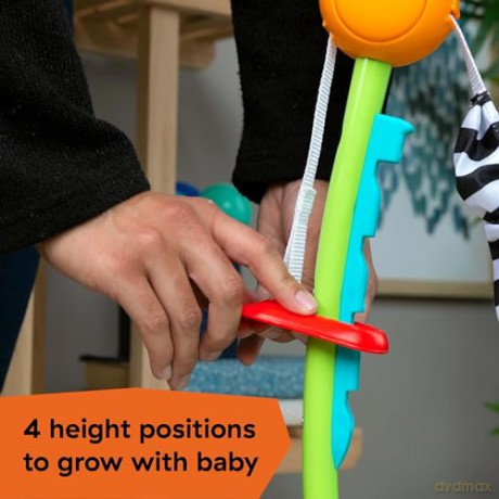 Baby Einstein - Curiosity Cove 2-in-1 Activity Jumper - (BE-13094)