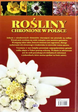 Rośliny Chronione W Polsce Tw - Studio Fenix [KSIĄŻKA]