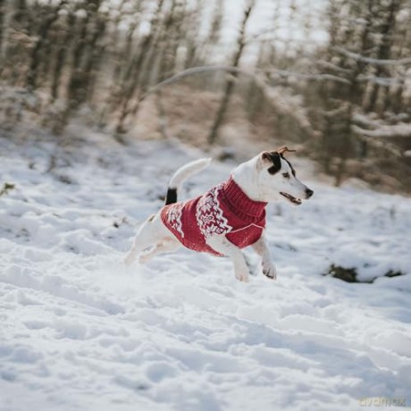Hunter - Dogcoat Birka 25, grey - (203476)