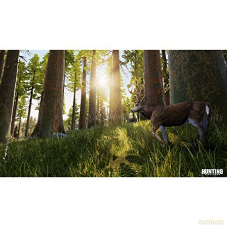 Hunting Simulator [GRA PS4]