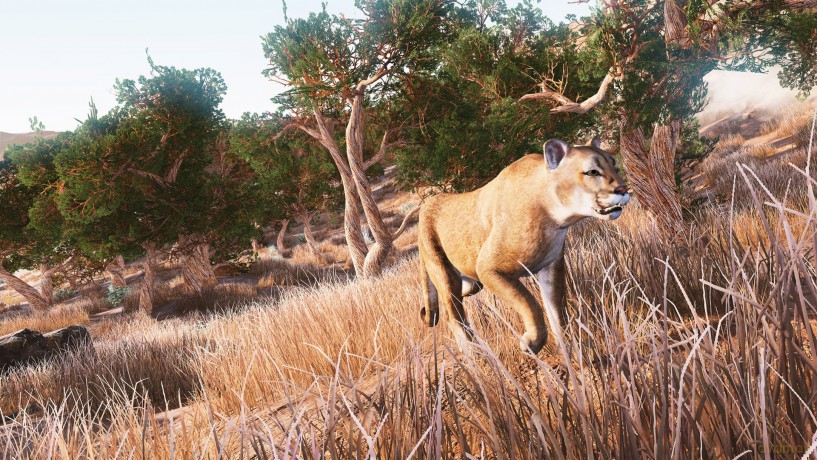 Hunting Simulator [GRA SWITCH]