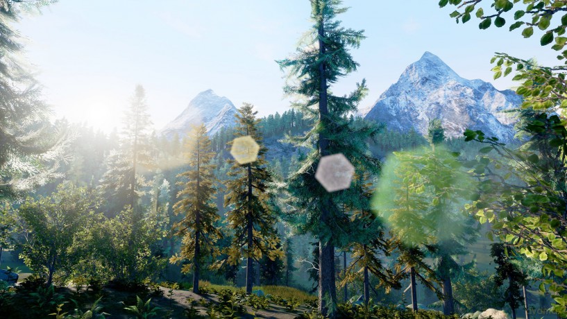 Hunting Simulator [GRA SWITCH]