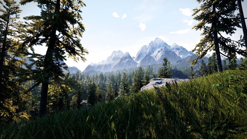 Hunting Simulator [GRA SWITCH]