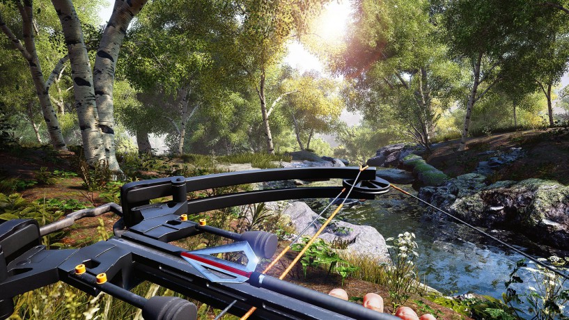 Hunting Simulator [GRA SWITCH]
