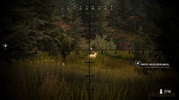 Hunting Simulator 2 [GRA SWITCH]