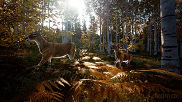 Hunting Simulator 2 [GRA SWITCH]