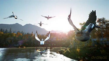 Hunting Simulator 2 [GRA SWITCH]