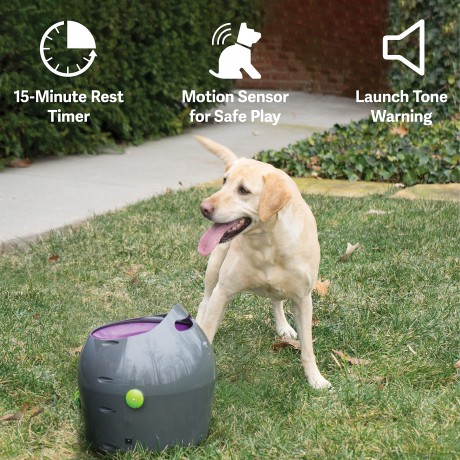 PetSafe - Automatic Ball Launcher