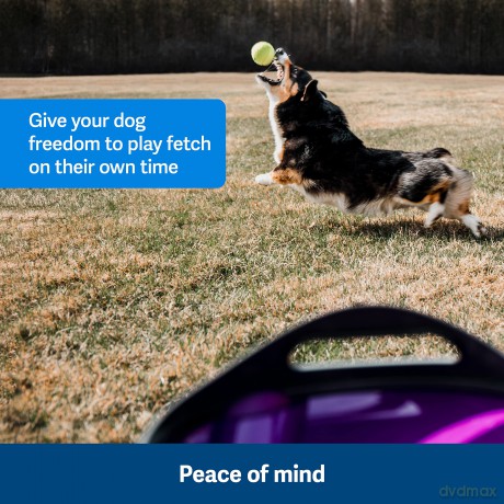 PetSafe - Automatic Ball Launcher