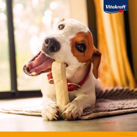 Vitakraft - Dental Chews chewing bone pressed M for dogs 1 piece 21 cm - (58241)