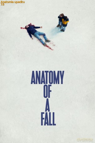 Anatomia upadku [DVD]
