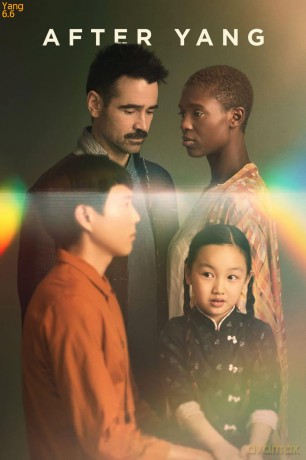 Yang [DVD]