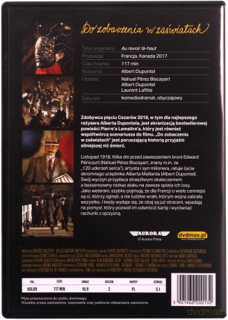 Do Zobaczenia w Zaświatach [DVD]