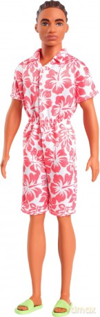 Barbie Fashionistas. Ken Stylowy HYT99