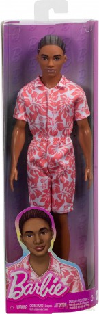 Barbie Fashionistas. Ken Stylowy HYT99