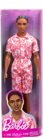Barbie Fashionistas. Ken Stylowy HYT99