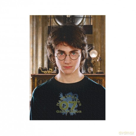 DODO 450 el. Harry Potter [PUZZLE]