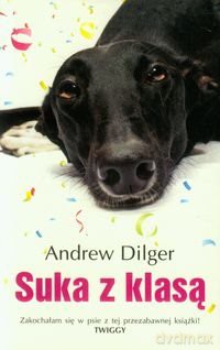 Suka Z Klasą - Andrew Dilger [KSIĄŻKA]