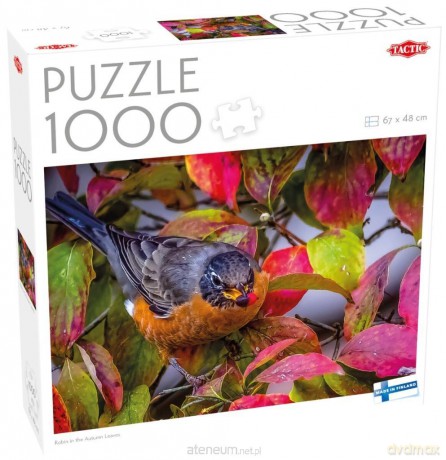 TACTIC 1000 el. Robin w jesiennych liściach [PUZZLE]