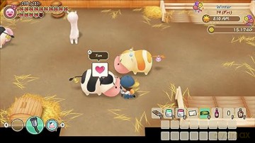 Story of Seasons: Friends of Mineral Town [GRA SWITCH]