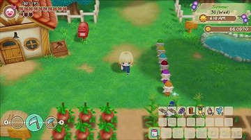 Story of Seasons: Friends of Mineral Town [GRA SWITCH]