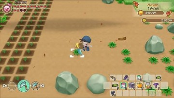 Story of Seasons: Friends of Mineral Town [GRA SWITCH]