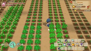 Story of Seasons: Friends of Mineral Town [GRA SWITCH]