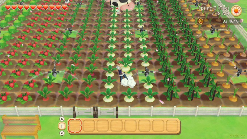Story of Seasons: Pioneers of Olive Town [GRA SWITCH]
