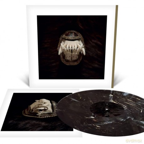 Amenra: De Toorn [Winyl]