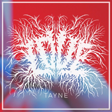Tayne: Love (digipack) [CD]