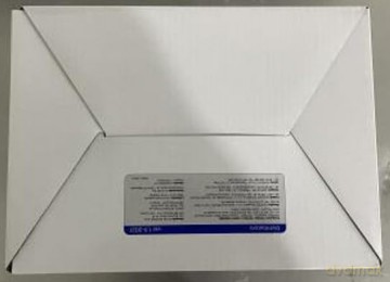 Czajnik 1,7 L RK3245 czarny