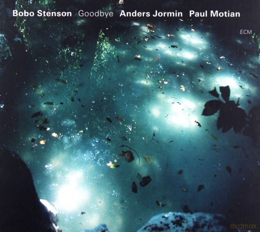 Stenson Bobo Trio: Goodbye [CD]